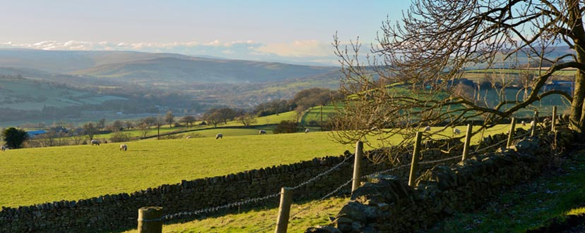 View of Weardale from Thornley Village 